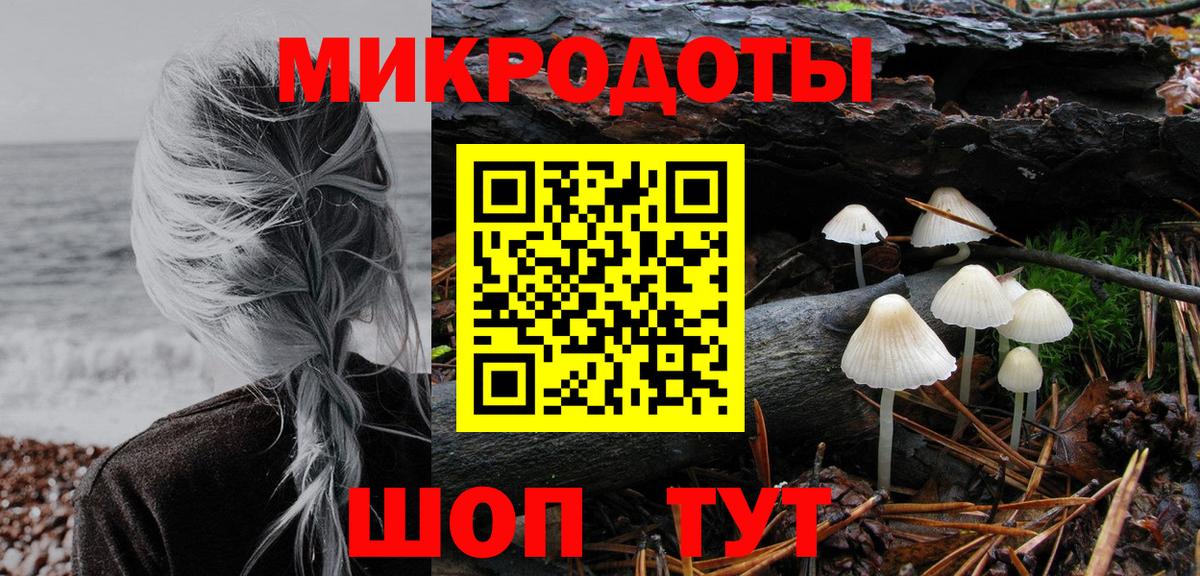 Псилоцибиновые грибы мицелий Усть-Илимск