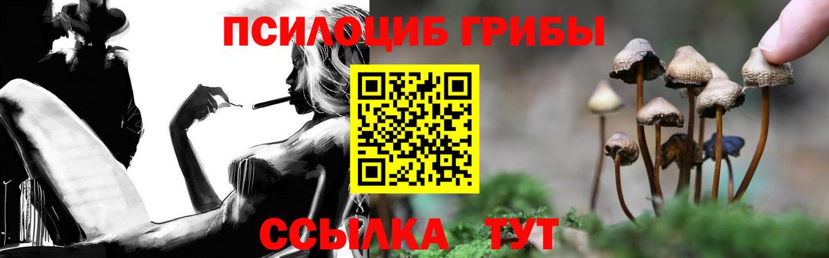 Усть-Илимск  Псилоцибиновые грибы Magic Shrooms  Вход с VPN 